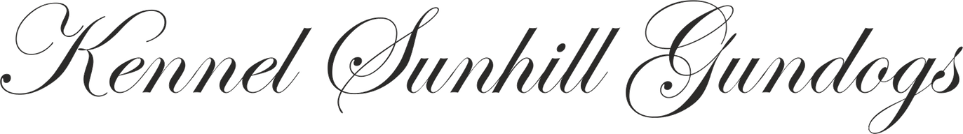 Kennel Sunhill Gundogs