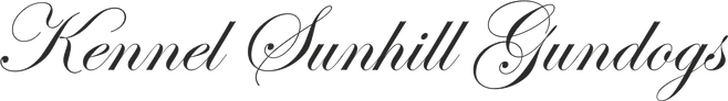 Kennel Sunhill Gundogs